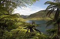 View of Lake Rotokākahi 2012