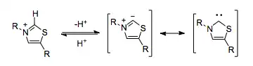 Deprotonation of thiazole moiety in thiamine pyrophosphate results in ambivalent chemical reactivity