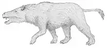 Restoration of Thomashuxleya, an early toxodontian notoungulate from the Eocene (Lutetian) of Argentina