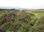 Bowl barrow on Thorncombe Hill known as `Thorncombe Barrow'