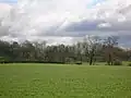 The Thorntoun woodlands from near Kirkland farm, Springside.