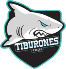 Team logo