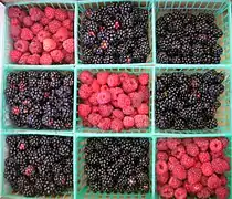 Raspberry and blackberry farming