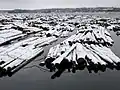 Raft of timber logs