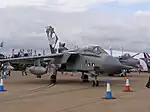 Panavia Tornado GR4 in grey colour scheme and special markings for the 95th anniversary of the squadron in 2007.