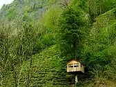 A tree house in Turkey