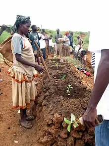 Trees planting during the World Environment Day 2012 in Konso, Ethiopia