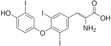 Triiodothyronine (T3), another thyroid hormone.