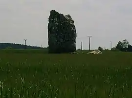 The menhir of the Drue