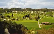 Streuobstwiese, a rural community orchard, traditionally for productive use. Today endorsed for its quality of habitat and biodiversity.