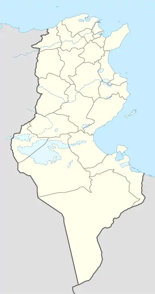 Bizerte-Sidi Ahmed Air Base is located in Tunisia