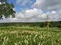 Tytuvėnai Regional Park landscape