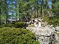 A cascade in the Japanese Garden.