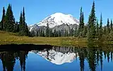 Upper Tipsoo Lake reflection