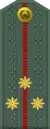 Katta leytenant(Uzbek Ground Forces)