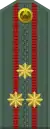 Polkovnik(Uzbek Ground Forces)