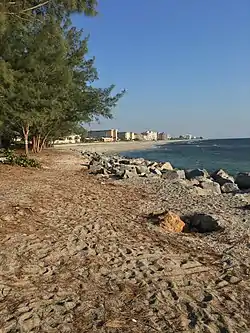 Venice's Beachfront from Humphris Park