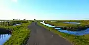 The marshes at Beauvoir-sur-Mer.