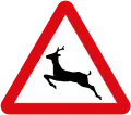 A sign for wild animals. Germany, Poland, Latvia, Spain and Turkey use a very similar sign