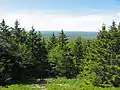 Looking south from Lead Mountain