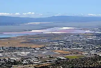 Salt ponds at the southern tip of the bay