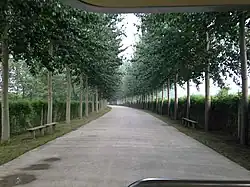 Shuigaozhuang Park on the west of the town, 2016