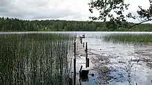 Lake Viisjaagu in Vellavere