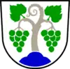 Coat of arms of Vipava