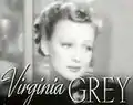 Virginia Grey