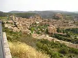 View of the village from above