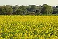 hilly countryside in Zottegem