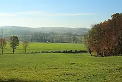 Typical Flemish Ardennes landscape