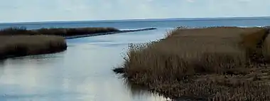 Lake Võrtsjärv drains into Emajõgi near Verevi.