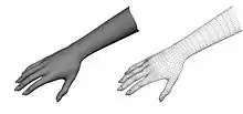 Image 17A real hand (left) is interpreted as a collection of vertices and lines in the 3D mesh version (right), and the software uses their relative position and interaction in order to infer the gesture. (from Gesture recognition)