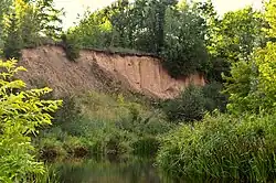 Vosbučiai outcrop