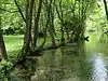 Vrelo Bosne (Summer 2010)