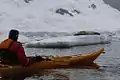 Kayaker watches seal in Waddington Bay