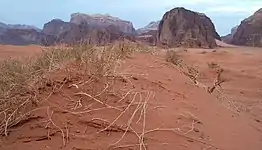 Wadi Rum desert