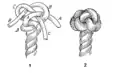 wall crowned(unfinished "wall and crown knot")