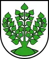 Coat of arms of Struppen