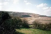 Photograph of Watership Down