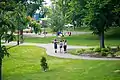 Wentworth Park Playground