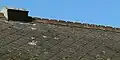 Fancy tiles, edging and ventilator on roof of hall