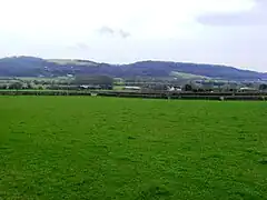 Weston-in-Gordano SSSI with the M5 motorway in the background