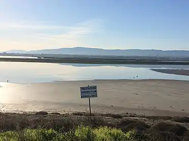 Adjacent salt ponds