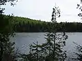 Looking southwest across Whale Lake