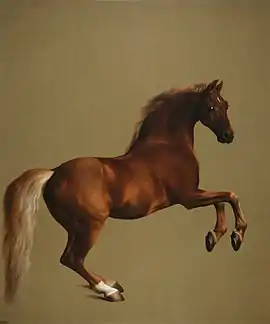 George Stubbs's Whistlejacket; c. 1762.