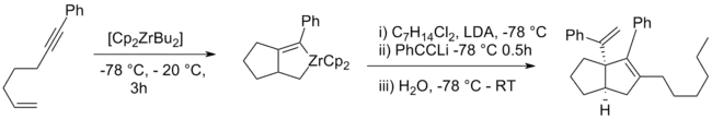 Zirconocyclisation 2006