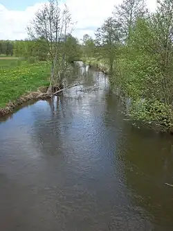 Wierzyca river near Dolne Maliki