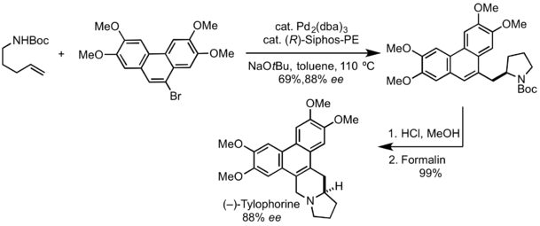 (–)-Tylophorine Synthesis